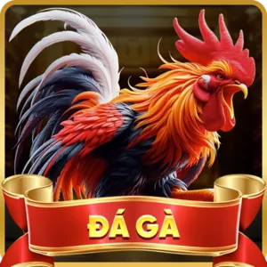 Chơi có trách nhiệm tại 678win